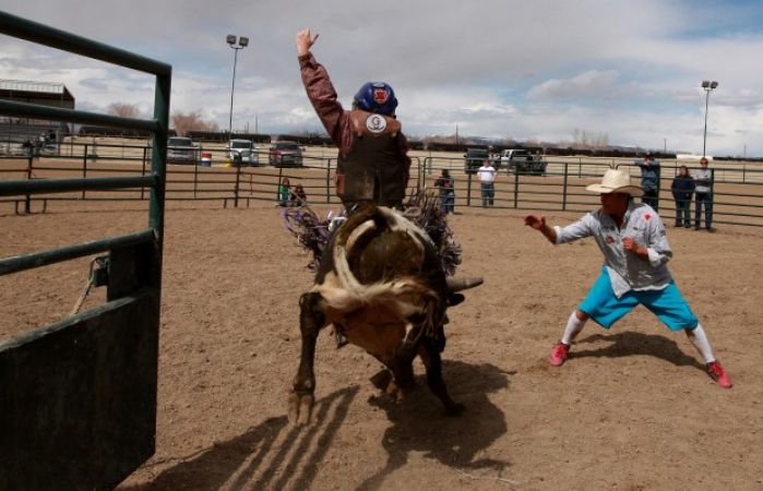 Mini Bull Riding